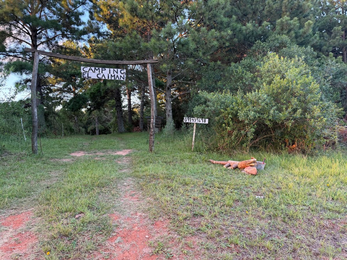 Entorno arbolado del área de camping