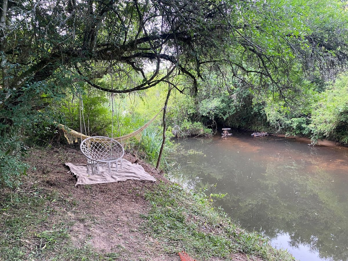 Sendero hacia el curso de agua
