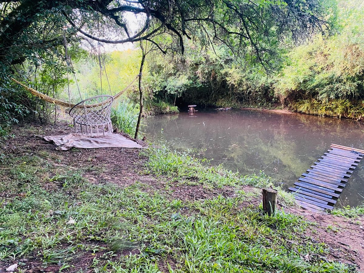 Sector del arroyo próximo al camping