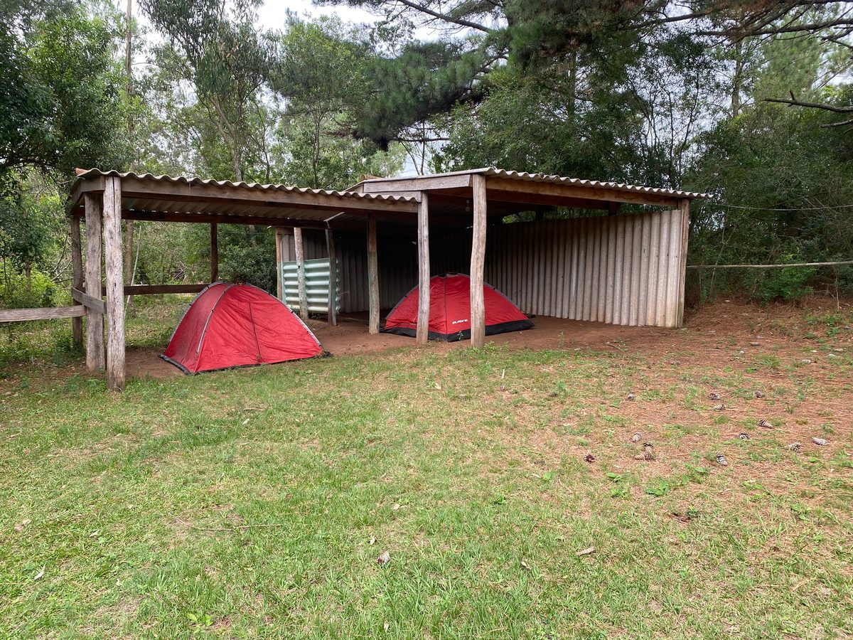 Área techada para carpas en Camping El Caimán