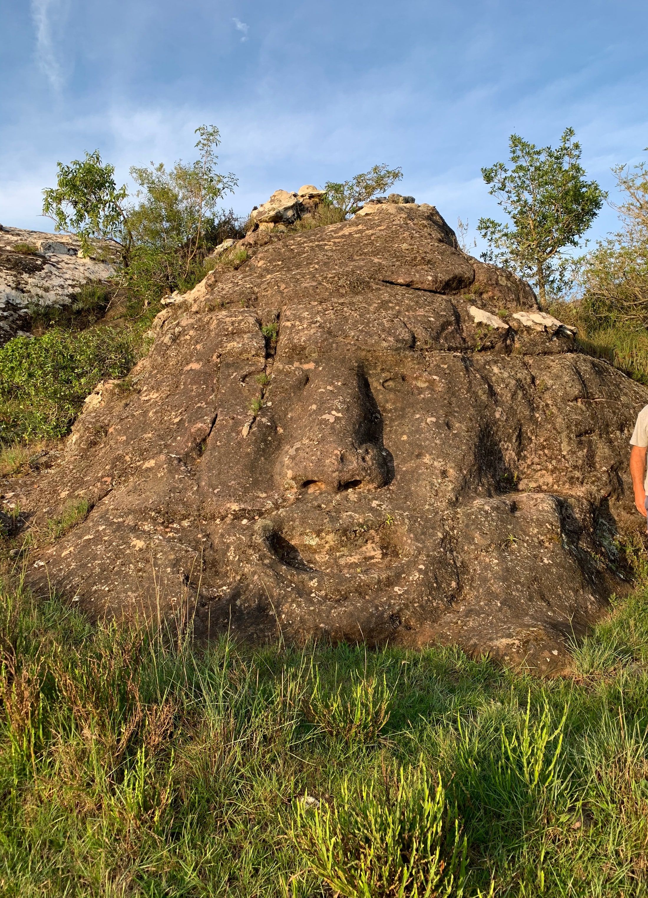 Forma de un rostro visible en una gran piedra de Paso Centurión