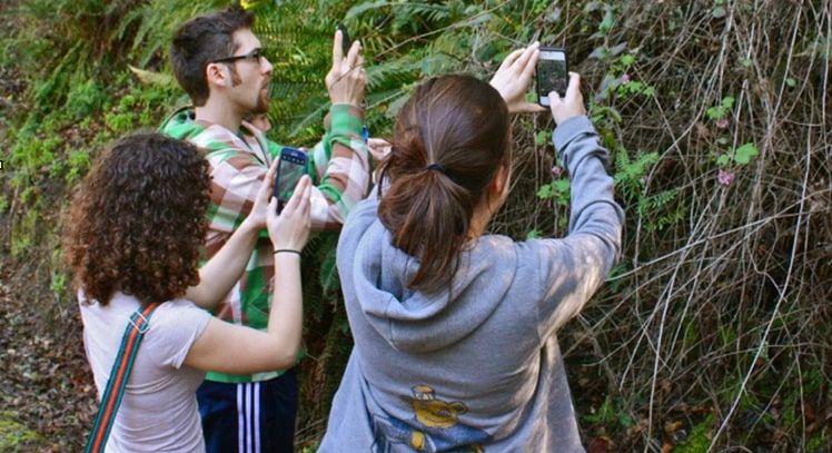 Registro de biodiversidad realizado con un teléfono