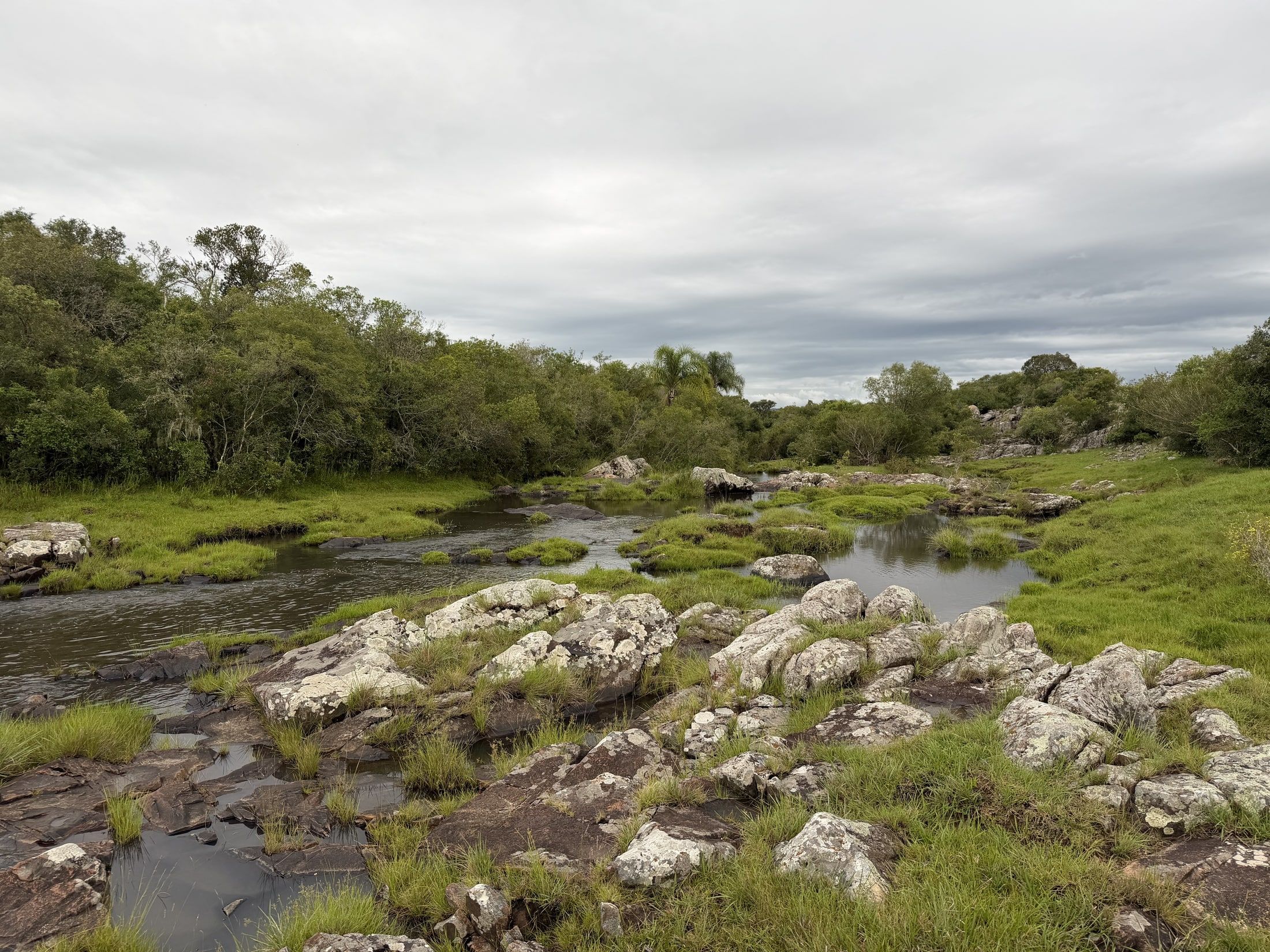 Curso de agua somero entre rocas, pastos y monte