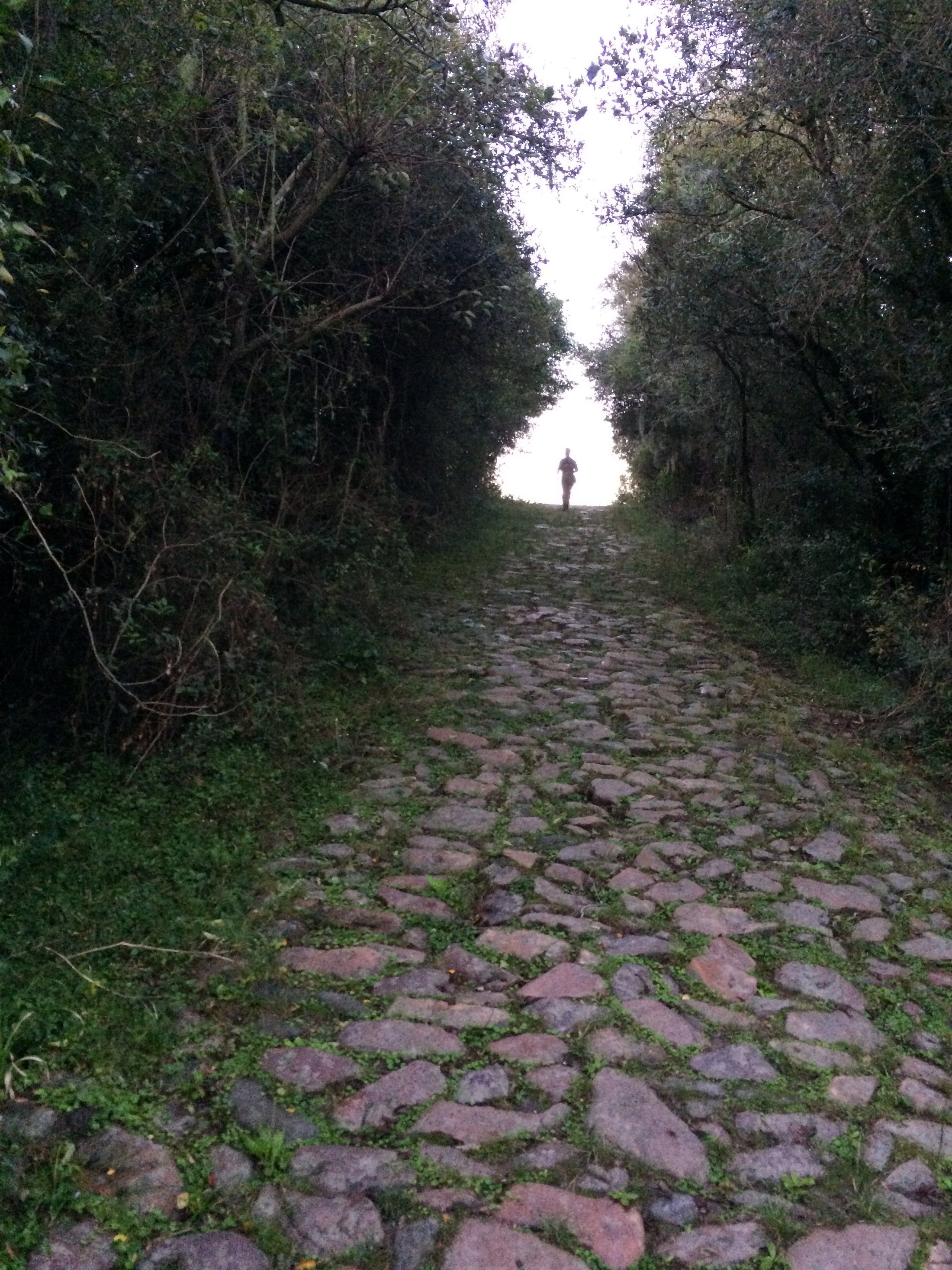 Antiguo camino de piedra que atraviesa el monte