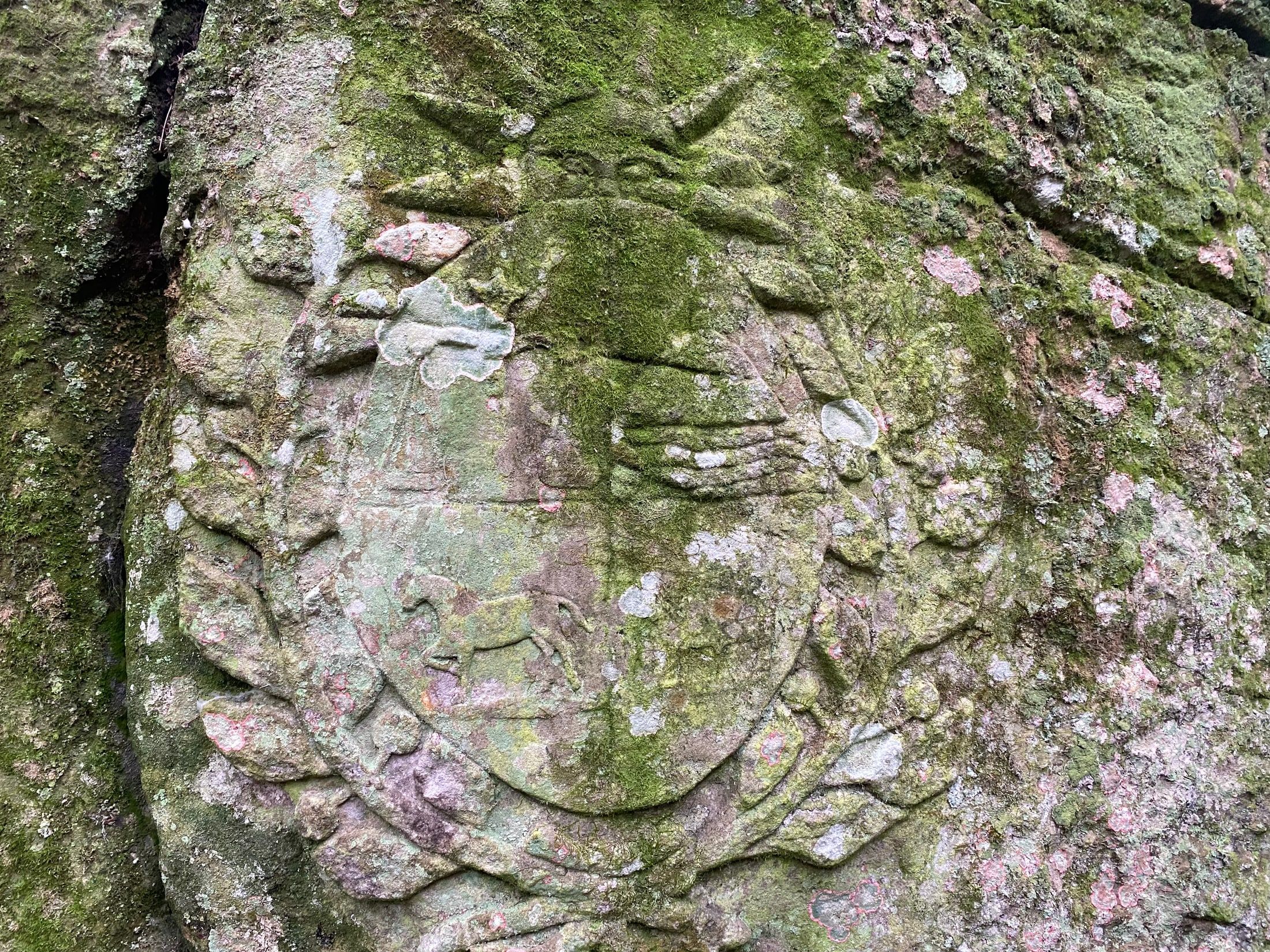 Detalle de marcas conservadas sobre una superficie de piedra