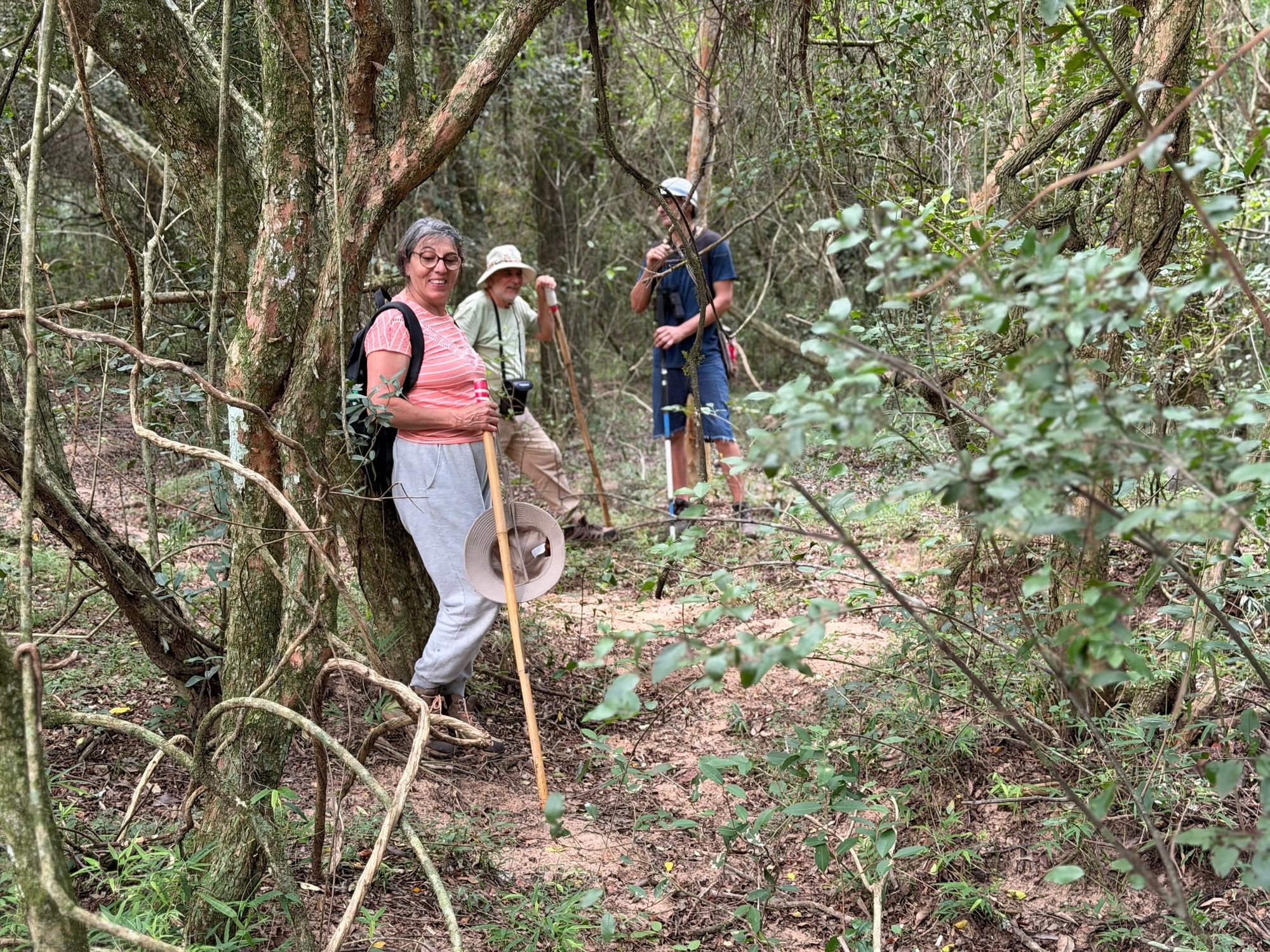 Grupo recorriendo un sendero dentro del monte