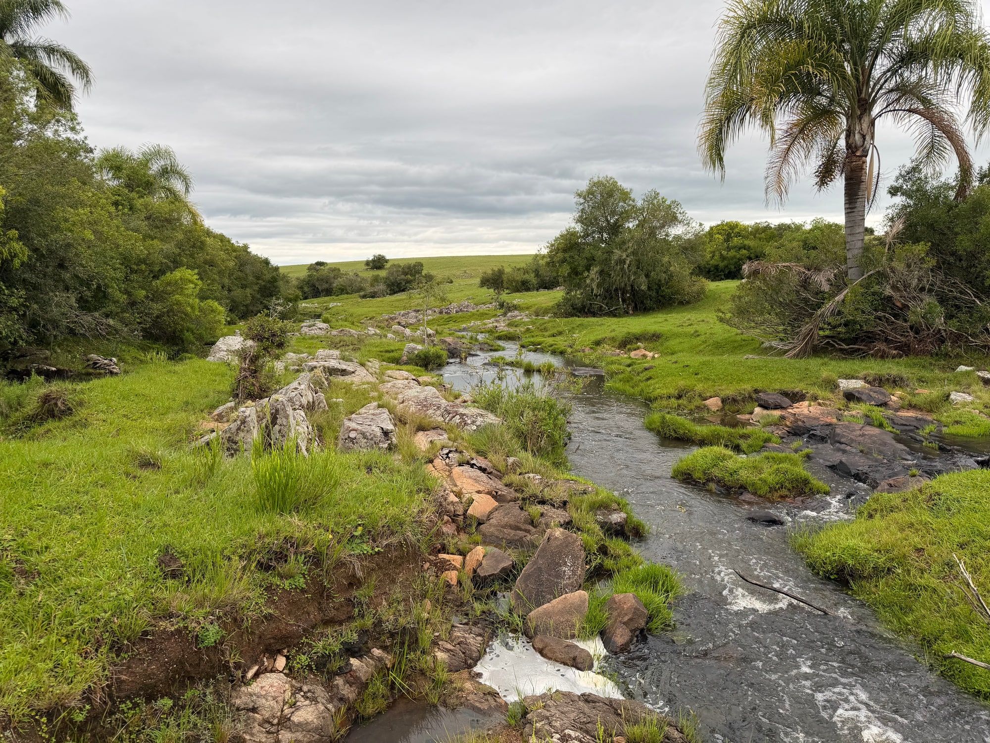 Curso de agua entre rocas y vegetación en un paisaje abierto