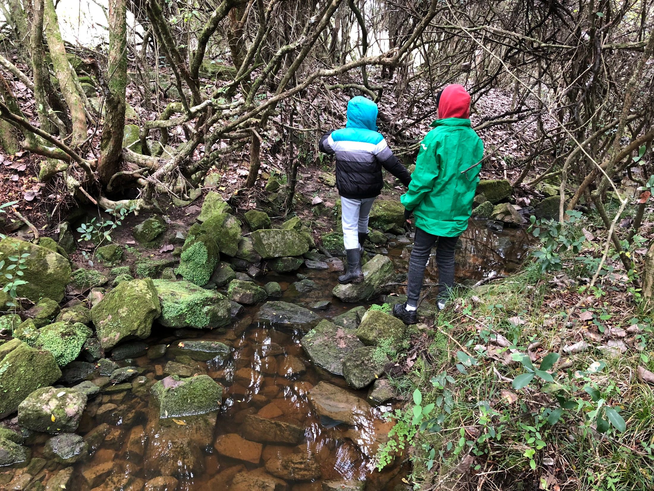 Participantes de espaldas recorriendo un curso de agua entre el monte
